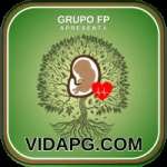 vidapg Money VIP v2.8.4